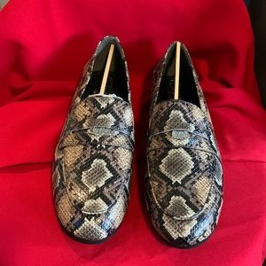 Brand new pair of shoes by Circus- Sam Edelman! Size 91/2. Snake print!